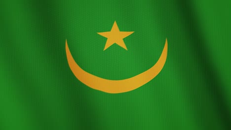 mauritania flag waving animation. full screen. symbol of the country