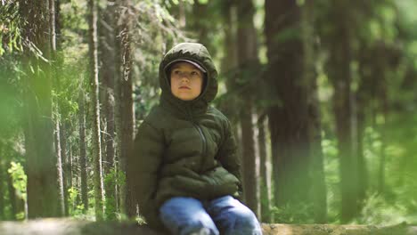 Niño-Solo-En-El-Bosque