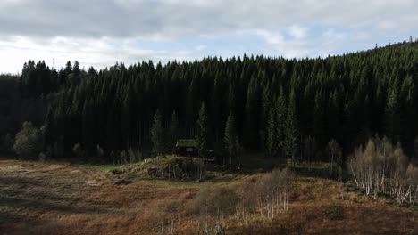 Cottage-In-Scenic-Forest-In-Indre-Fosen,-Norway---Aerial-Drone-Shot