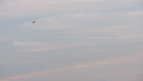 kite flying in the late afternoon sky, slow motion