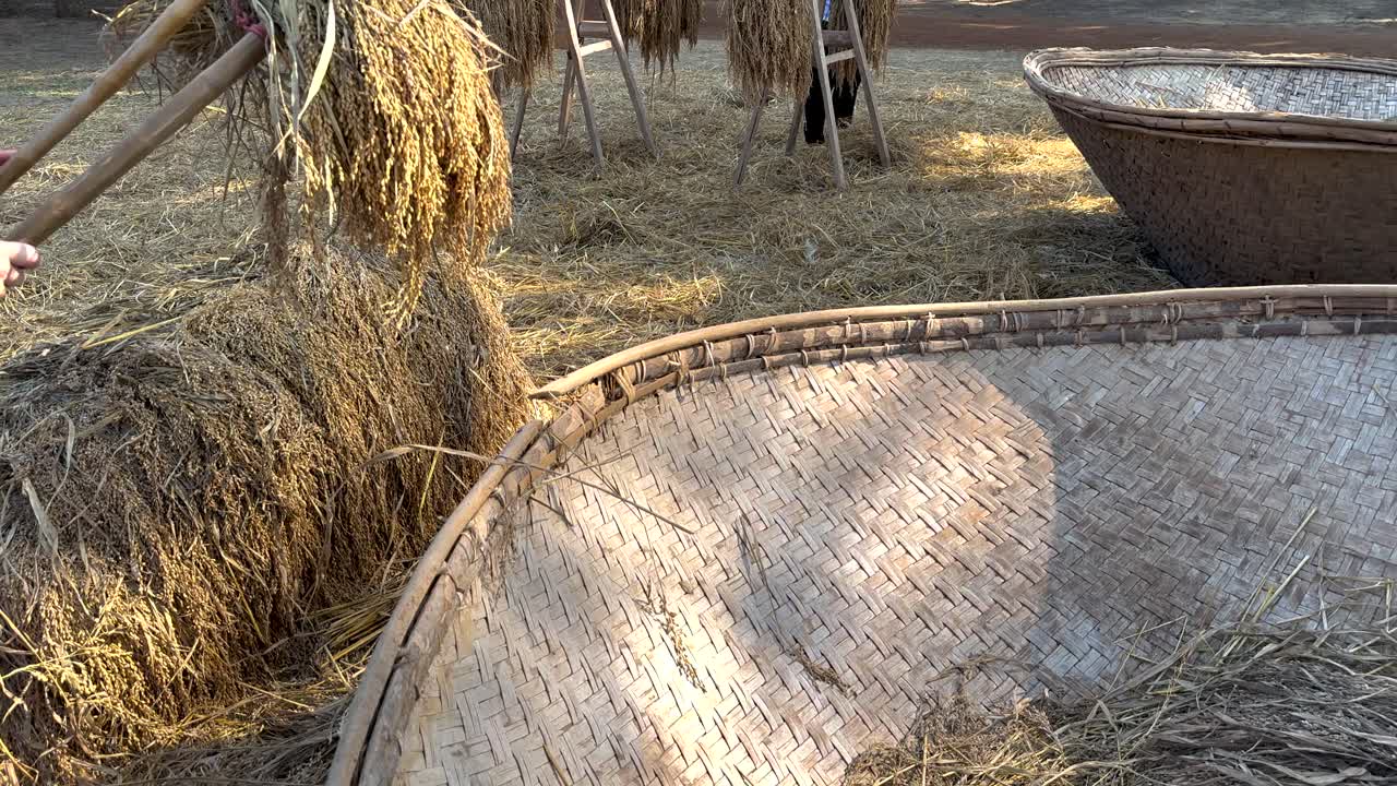 농촌 khao yai의  는 과정