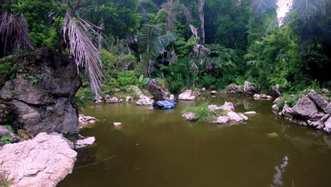 mirando el lago, los árboles y las rocas en krabi