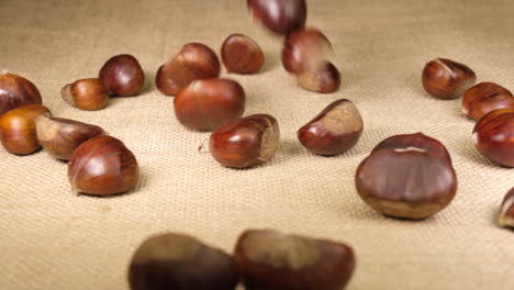 chestnuts falling on jute canvas background in slow motion