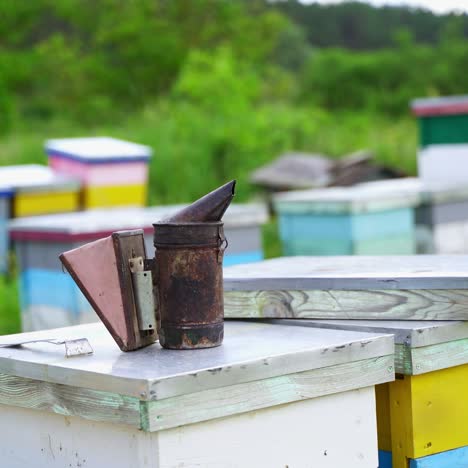 bee chimney smokes white smoke. beekeeping tool on many beehives background. beekeeper works at the apiary. beekeeping concept.