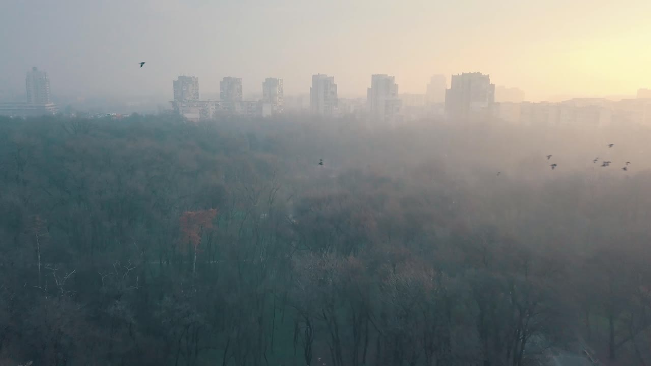드론 주위를 날아다니는 많은 새들과 함께 동유럽의 콘크리트 생활 아파트 지역을 날고 있습니다.