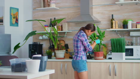 Señora-Haciendo-Jardinería-En-La-Cocina-De-Casa