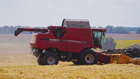 combine harvest on golden wheat field. combine harvester at work harvesting field of crop
