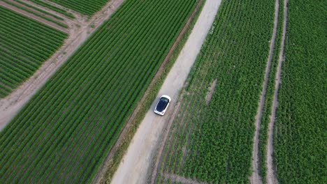 Auto-Fährt-Mitten-Auf-Den-Feldern-Des-Bauernhofs