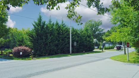 Ein-Amish-Pferd-Und-Buggy,-Das-An-Einem-Schönen-Sommertag-Auf-Einer-Landstraße-Unterwegs-Ist