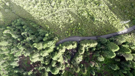 Drone-shot-with-a-view-of-a-zenithal-descent-in-the-forests-that-surround-the-popocatepetl-volcano-in-mexico-city