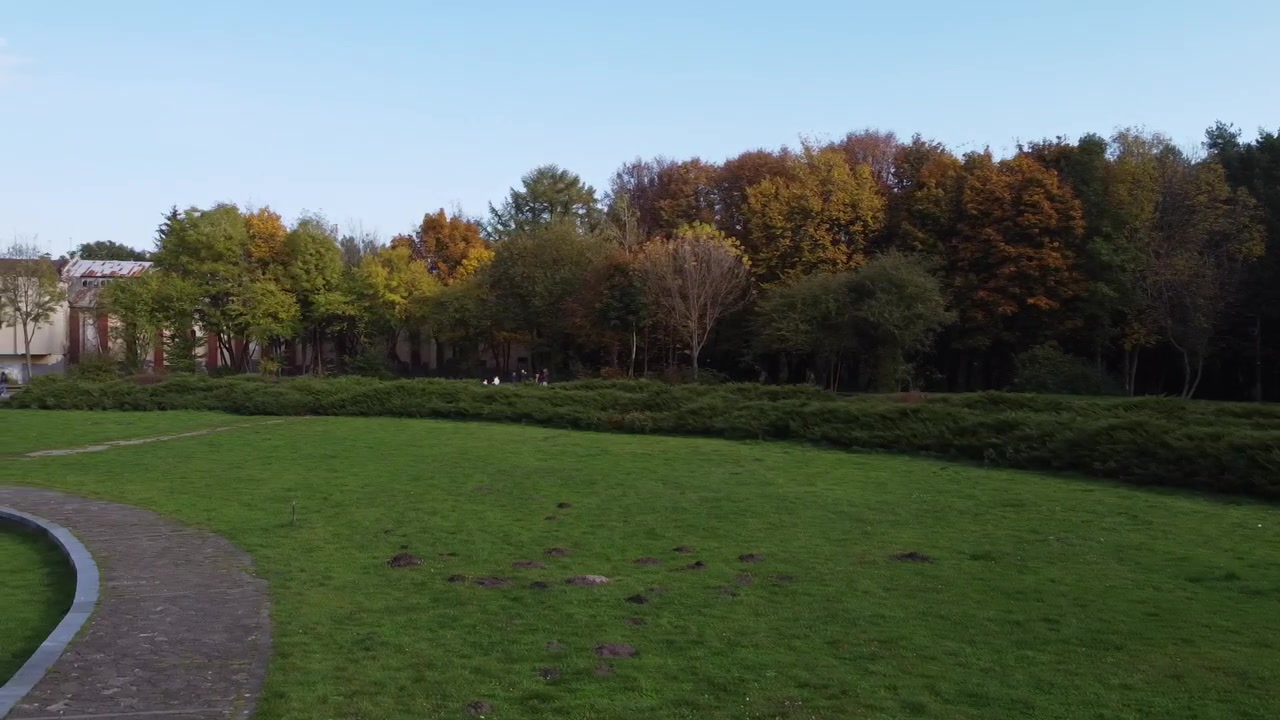 Pemandangan udara dari drone yang terbang di atas taman