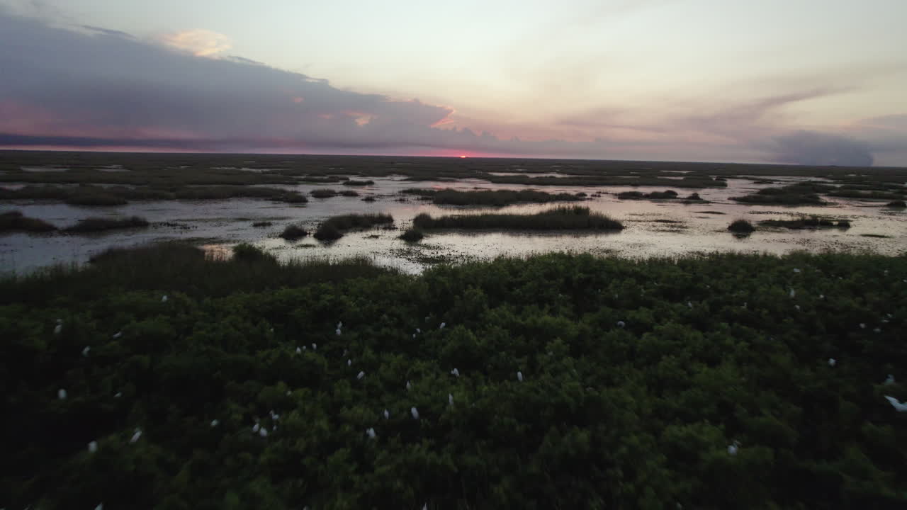 Evergladesin kosteikko-oja, suo, marskimaa, sahanheinä, auringonlasku, pesimäalue, ilmakuva 3