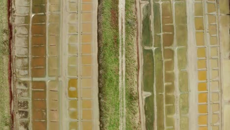 drone aerial view, flying over salty , canals and ponds forming part of the salt activity like a pattern colors overlooking beautiful graphic landscape footage , france