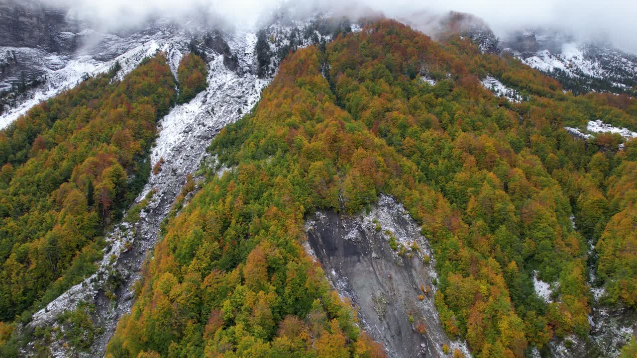 primeros días de invierno en la montaña de los alpes con bosques coloridos y piedras cubiertas de nieve blanca y niebla