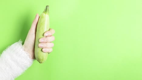 video 4k hand of a girl in a white fluffy sweater holds a young zucchini moving on a green background copy space for text