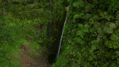 cascada aérea revelada y exuberante selva en levada caldeirao verde, madeira, portugal