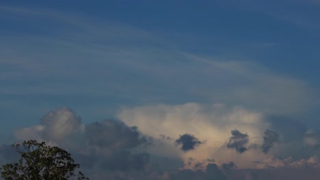 anvil shaped mushroom form cumulonimbus storm and rain cloud in the background drifting off with a similar shaped tree top crown in the foreground