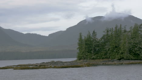 a small isle of trees sits in the center of an alaskan fjord as the camera quickly passes