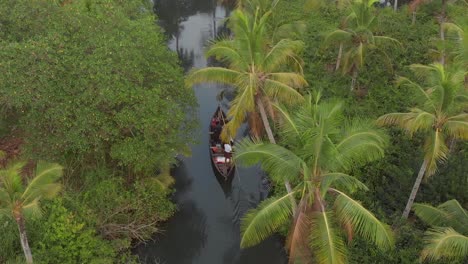 Aerial-view-of-longboat-with-tourists-and-guides-canoeing-through-narrow-canals-and-waterways-amidst-thick-dense-palm-trees-of-Munroe-island,-India