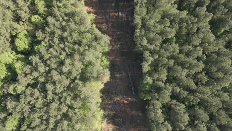 Dröhnen-Von-Holzfällen-Oder-Entwaldung,-Wegschnitt-Durch-Den-Wald