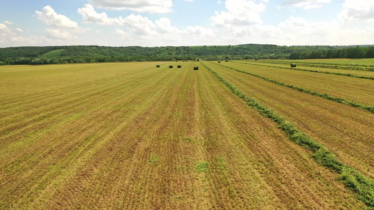 Field with bales on the natural background in rural place.