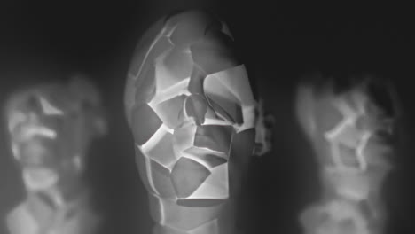 broken mannequin head shells in xray