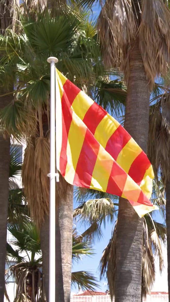 Inquadratura dal basso di una bandiera a strisce che sventola contro palme e cielo blu