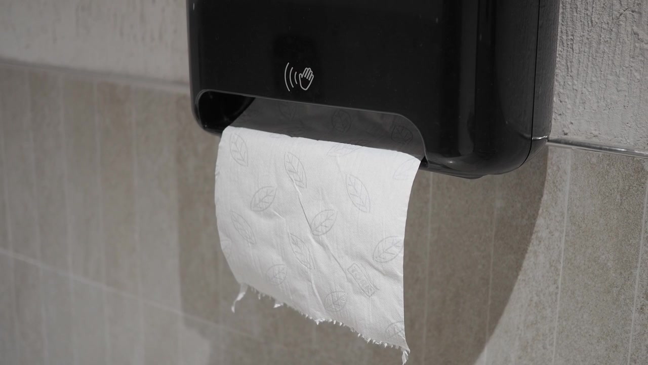 Automatic Paper Towel Dispenser in a Public Restroom