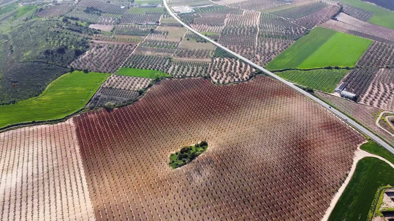 Aerial view of agricultural fields and olive groves