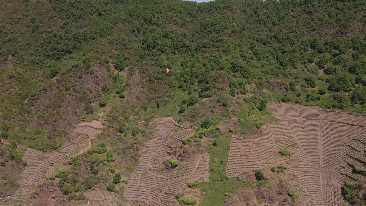 dolly izquierda toma aérea de un viñedo de granjeros en la ladera de una colina empinada con un individuo saltando en paracaídas a lo largo de la colina