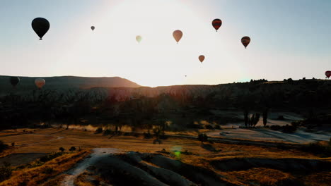 los globos de aire caliente están viajando en el valle