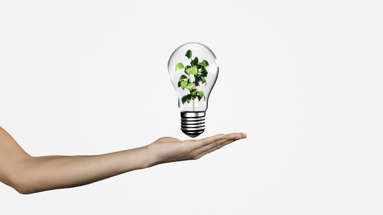 presentación manual de una bombilla con una planta en crecimiento