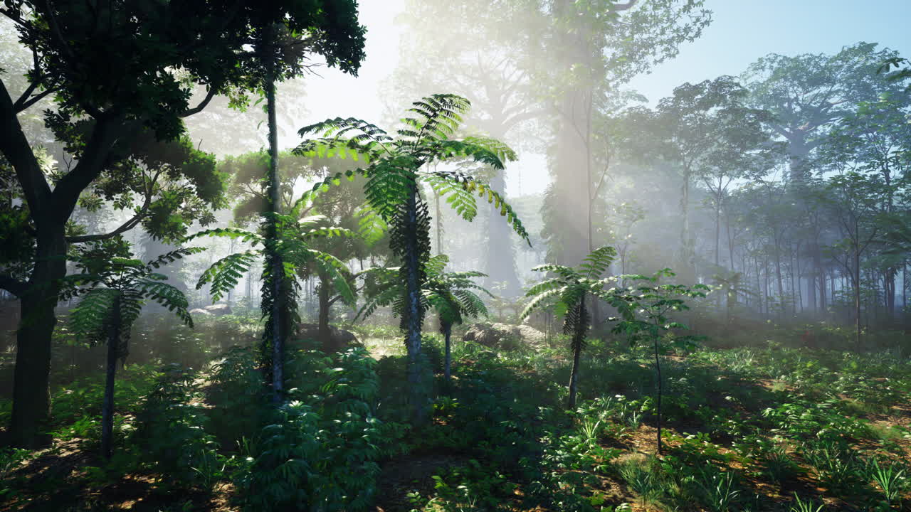 나무 를 통해 빛 이 흐르는 울창 한 열대 숲