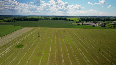 Drohnenaufnahmen-Von-Landwirtschaftlichen-Feldern-Auf-Dem-Land-In-Europa