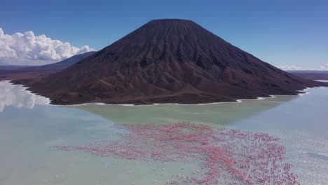 flamingos at a volcanic lake