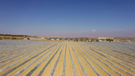 Volando-Sobre-Un-Gran-Campo-De-Plantas-Bajo-Pequeños-Invernaderos-Protectores-De-Plástico,-Campo-Desértico-De-Líneas-Rectas,-Disparo-De-Drones-Hacia-Adelante