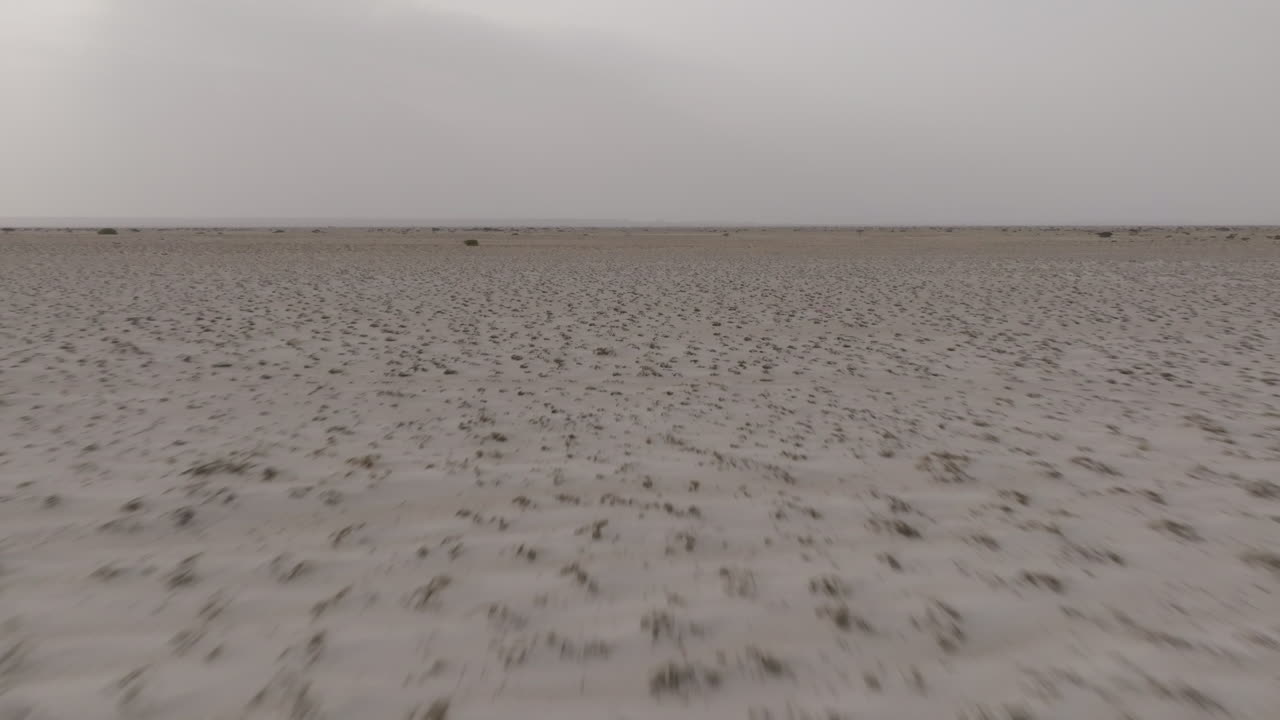 Desert landscape in Oman with vast, flat sand dunes and sparse vegetation
