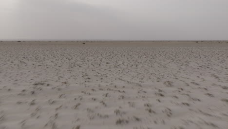 desert landscape in oman with vast, flat sand dunes and sparse vegetation