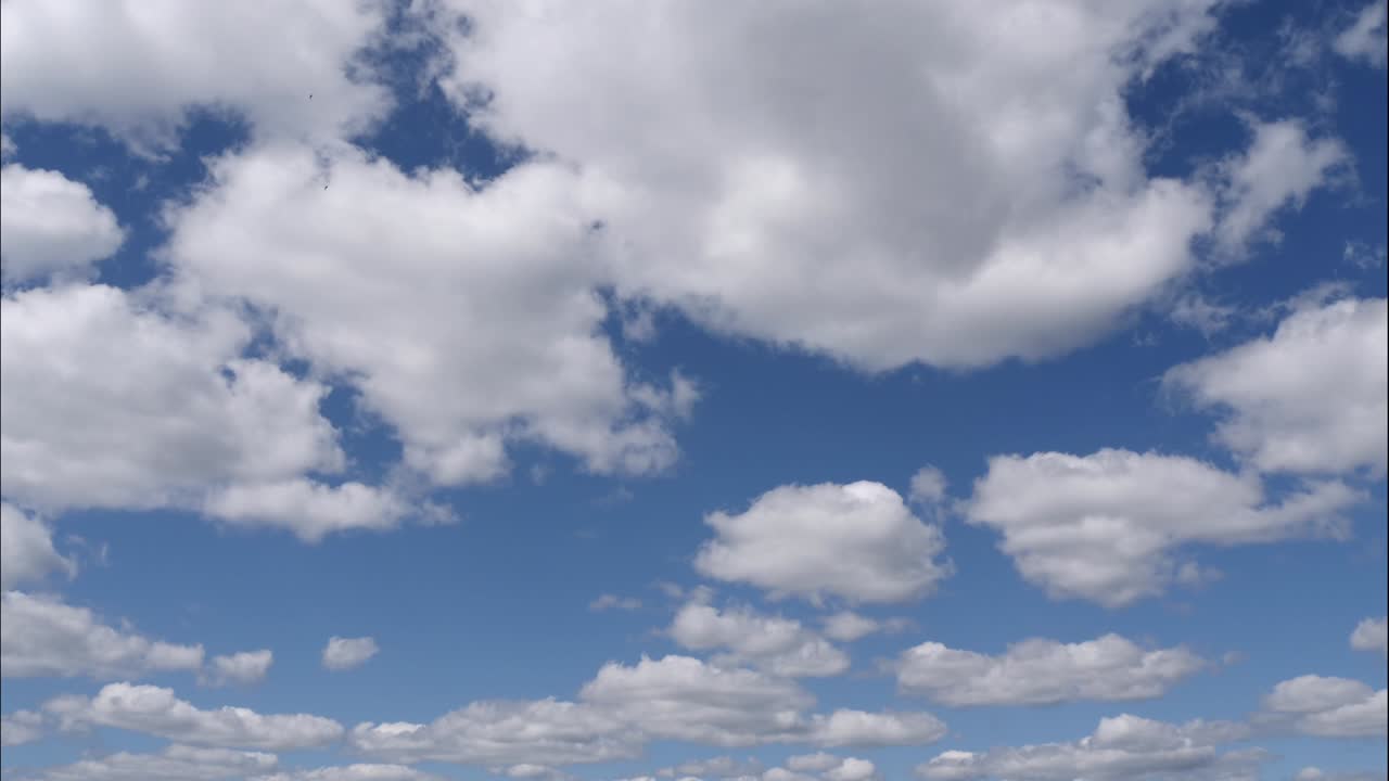 cielo azul nubes blancas. nubes puffy fluffy blancas. nube cúmulo scape lapso de tiempo. verano cielo azul lapso de tempo. dramático majestuoso increíble cielo azul. nubes blancos suaves se forman. nubes fondo lapso de time