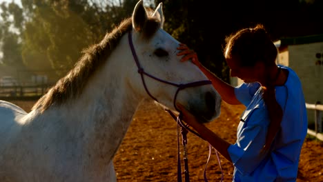 médico veterinario de pie con el caballo 4k