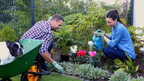 pareja regando las plantas en el jardín 4k