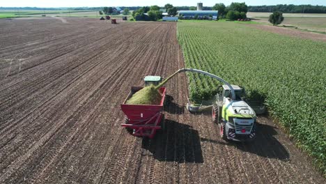 una operación agrícola en ne wisconsin corta y recolecta maíz para ensilaje-3