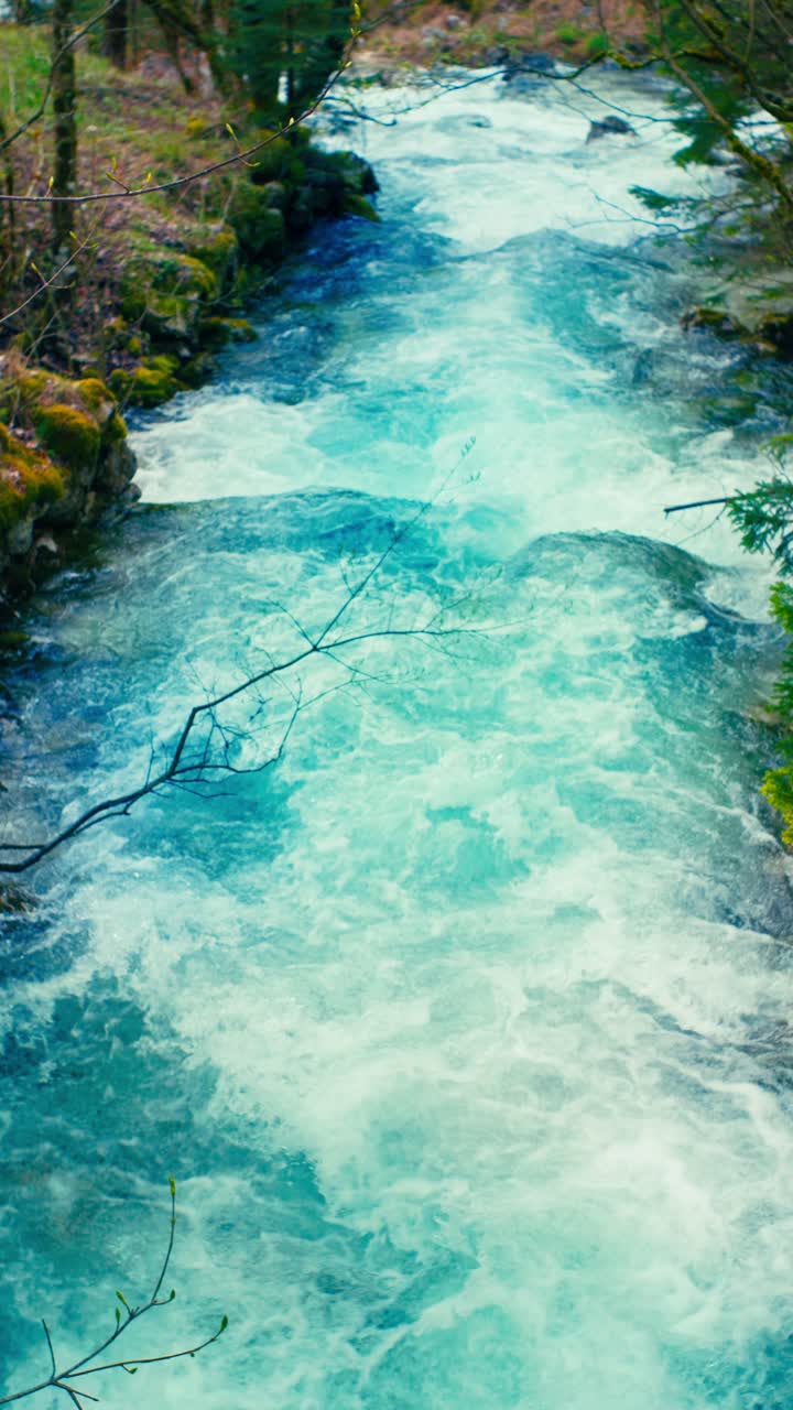 Immerse yourself in the pristine beauty of the Julian Alps with this stunning capture of a mountain river near Kranjska Gora, Slovenia. Crystal-clear turquoise water flows over smooth river rocks.