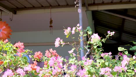 활기찬 식물과 문화적 매력을 보여주는 태국 떠다니는 시장에서 꽃이 피고 장식된 다채로운 정원