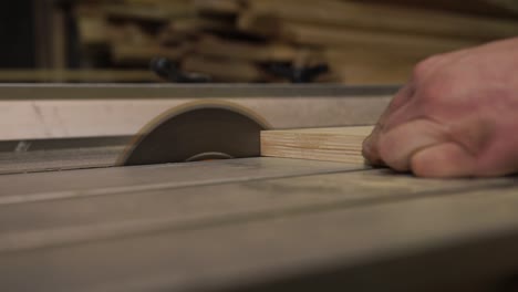 carpintero, trabajador corta una tabla de madera con una sierra circular en un banco de trabajo