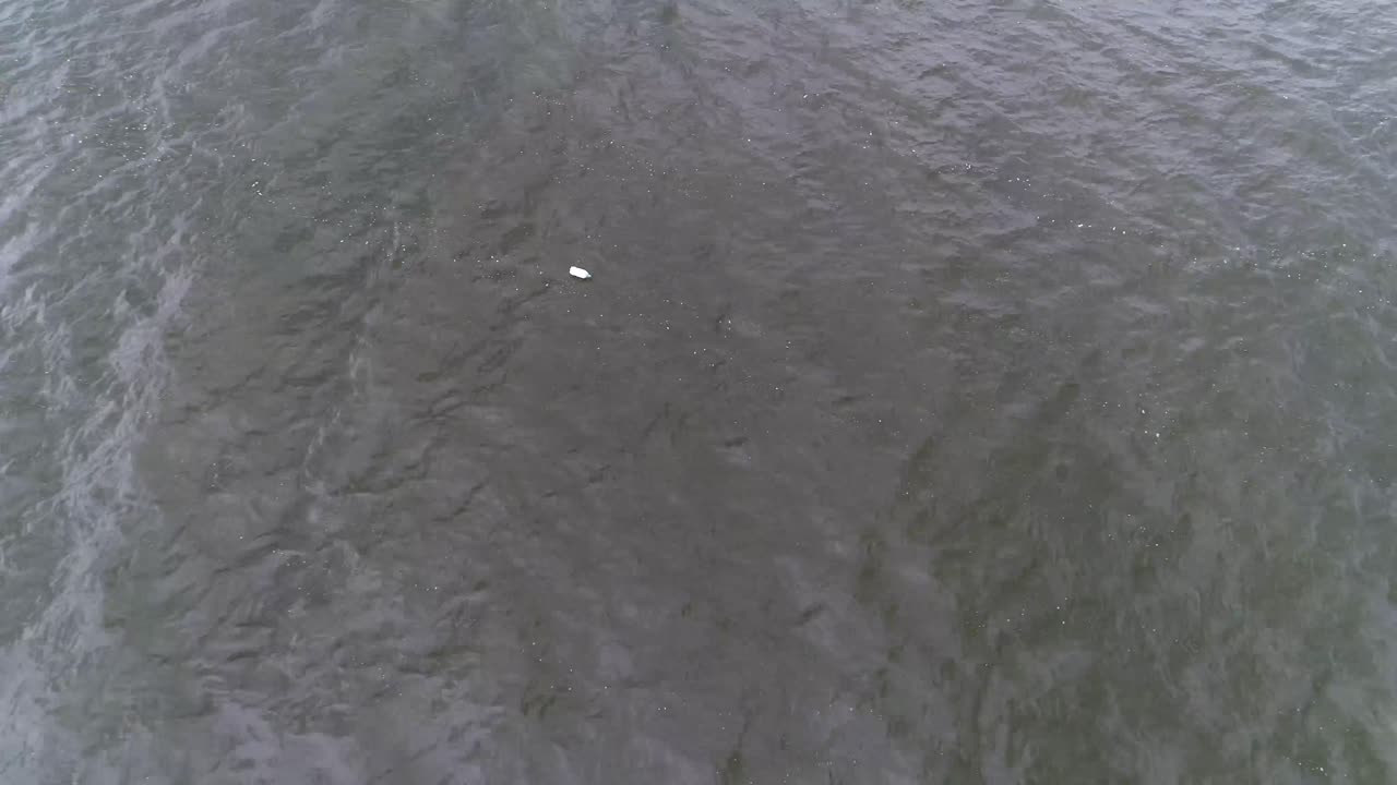 텍사스 주 레이크 포크 (lake fork) 에 있는 정글라인 (jugline) 의 공중 영상