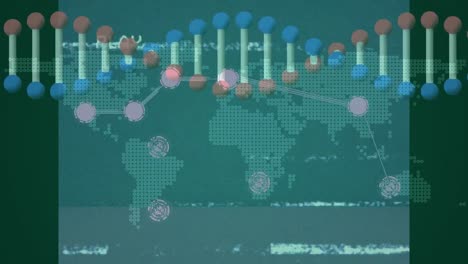 Animación-De-Red-De-Conexiones-Sobre-Cadena-De-ADN.