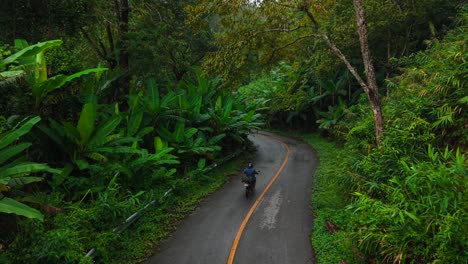 motorcycle ride through a lush green forest