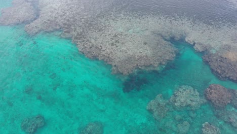 coral reef in natadola bay of fiji with crystal clear water, calm blue lagoon