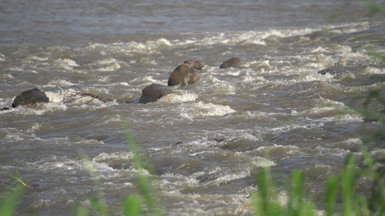 4k footage of murky Progo river water splashing against rocks.